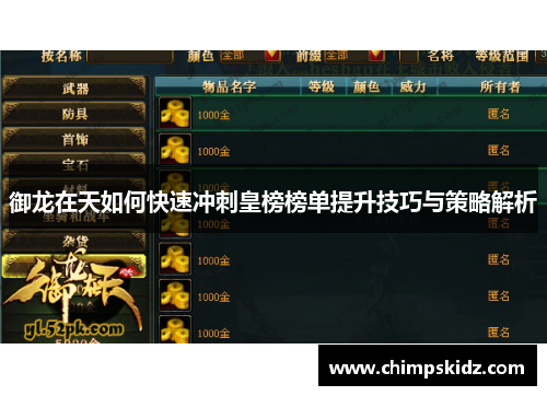 御龙在天如何快速冲刺皇榜榜单提升技巧与策略解析